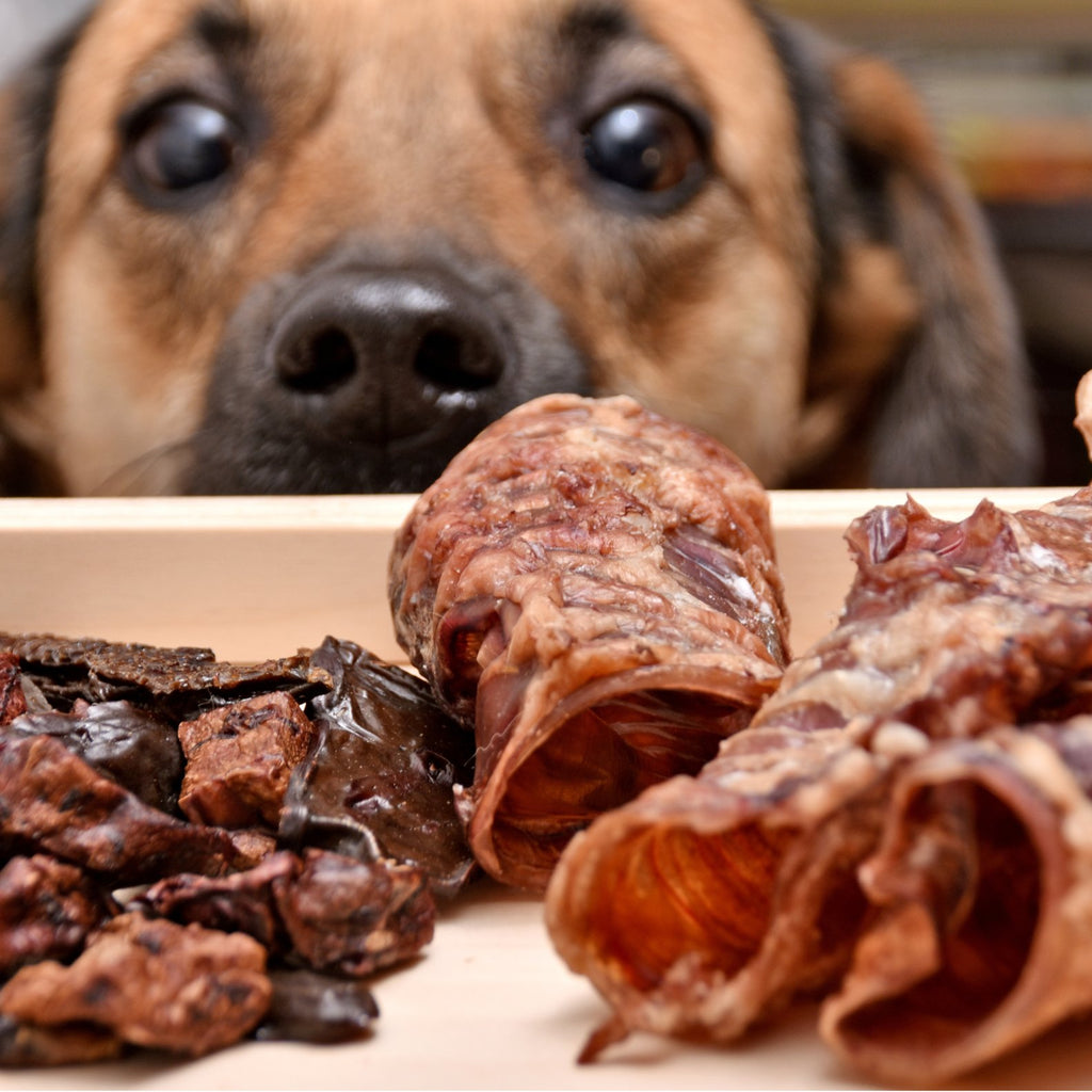Baber Deli for Dogs & Cats