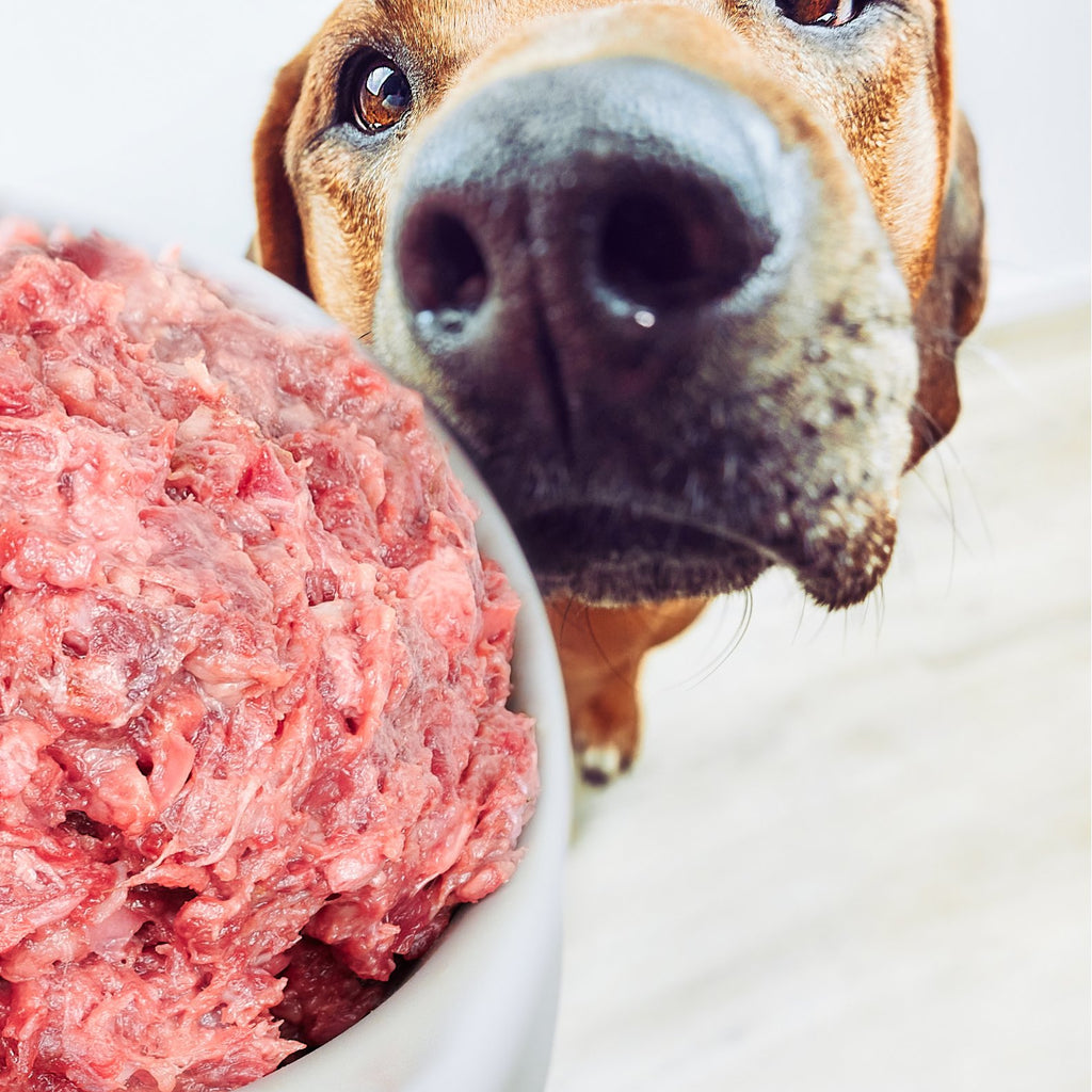 Raw Dog Food